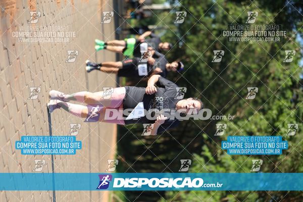 Foto 7918080