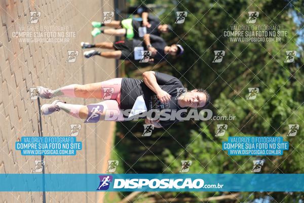 Foto 7918086
