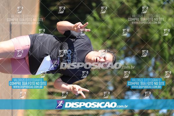 Foto 7918054