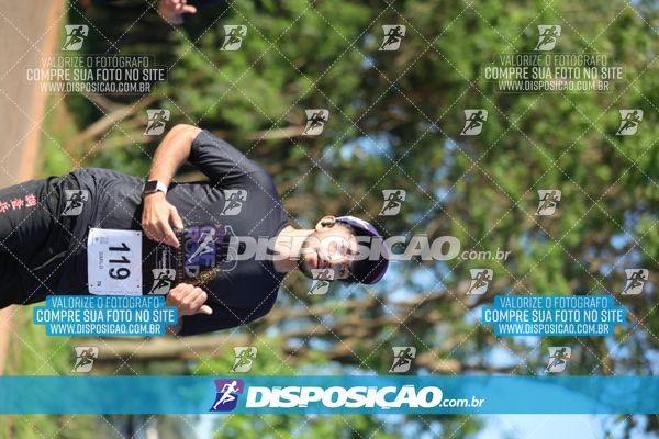 Foto 7918053