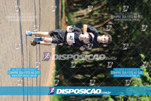 Foto 7917830