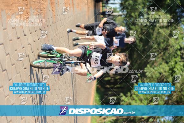 Foto 7917819