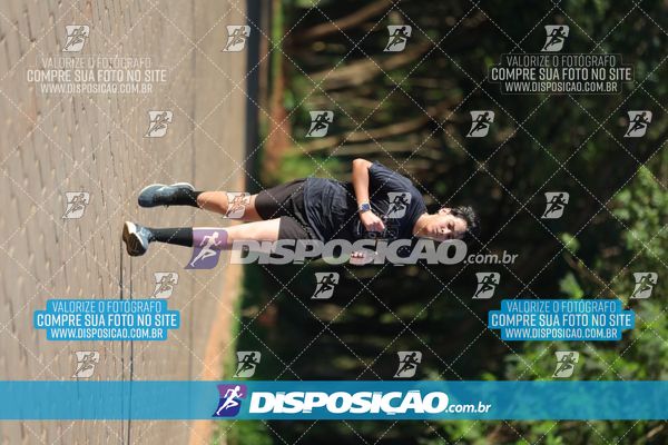 Foto 7917485
