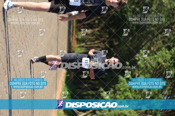 Foto 7917266