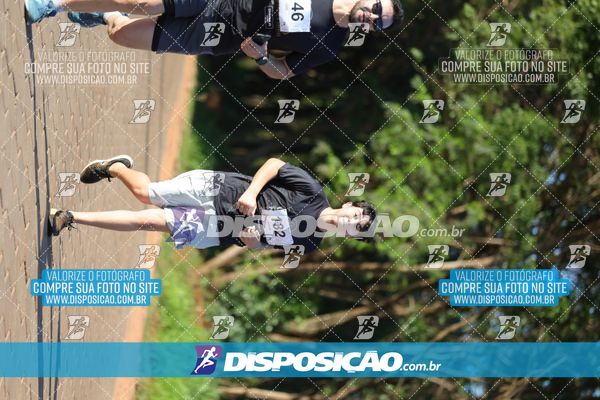 Foto 7917262