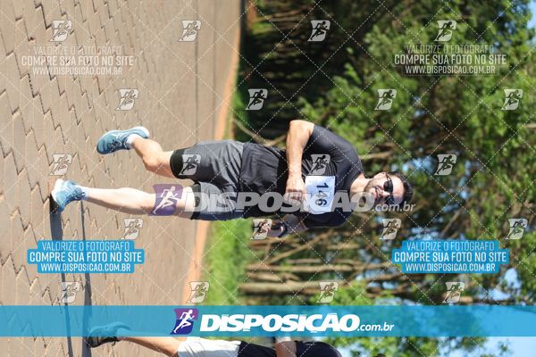 Foto 7917254