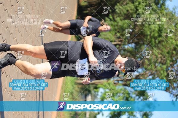Foto 7917185