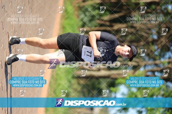 Foto 7917168