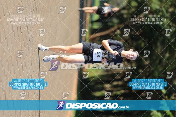 Foto 7917119