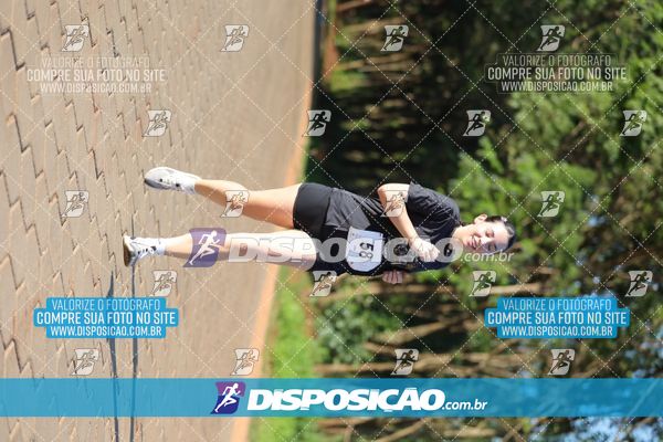 Foto 7917095