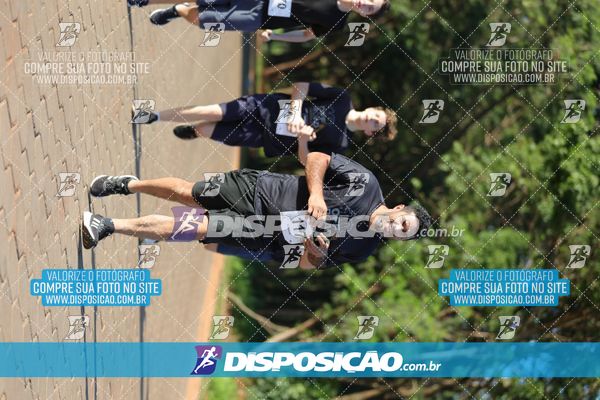 Foto 7917085