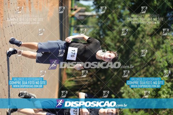Foto 7917074