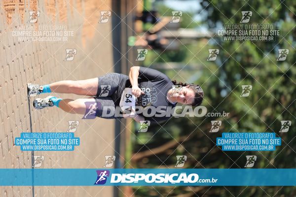 Foto 7917027