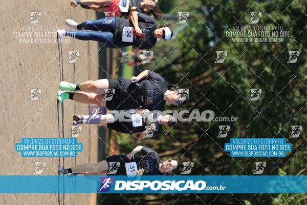 Foto 7917003