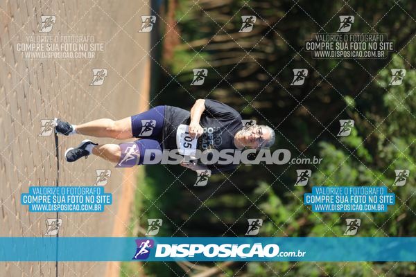 Foto 7916827