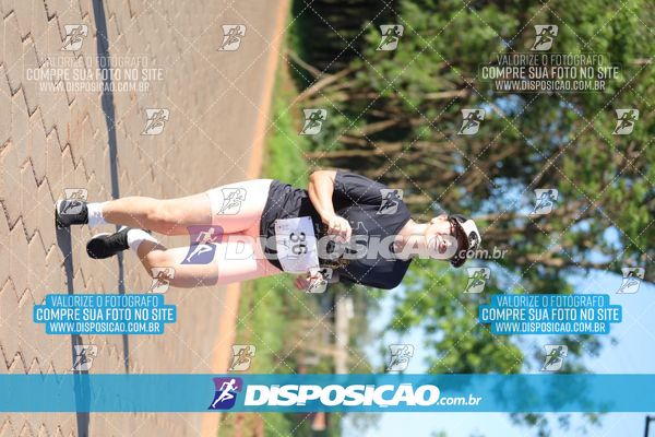 Foto 7916612