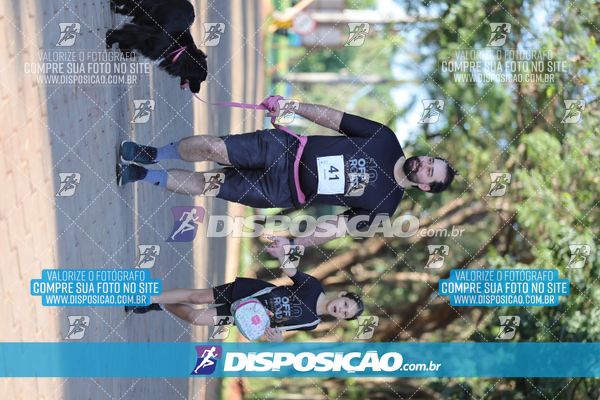 Foto 7916496