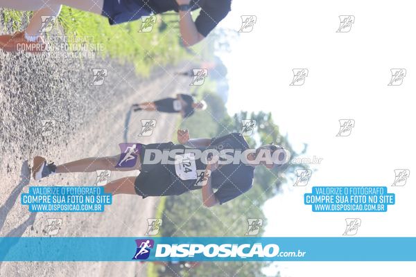 Foto 7916383
