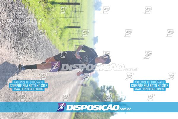 Foto 7916181