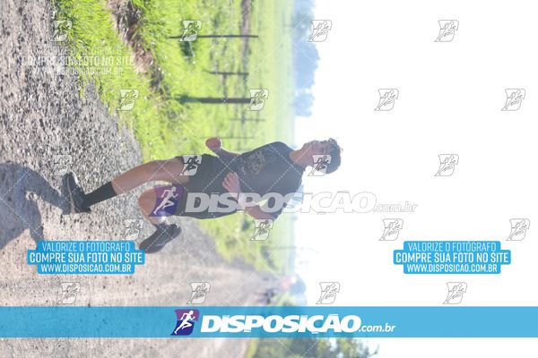 Foto 7916179