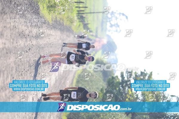 Foto 7916170