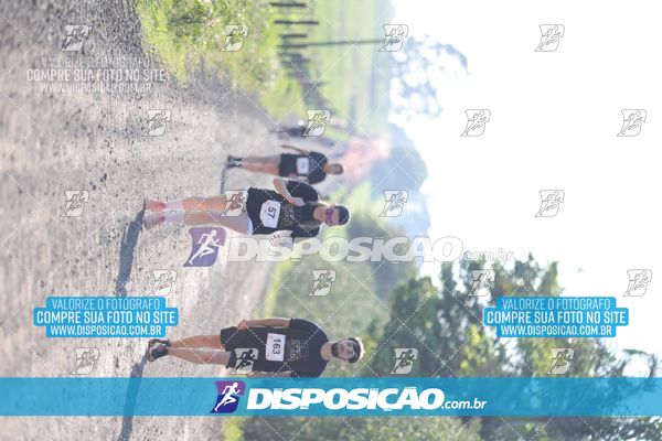 Foto 7916172