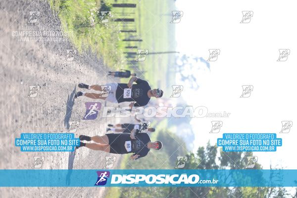 Foto 7916127