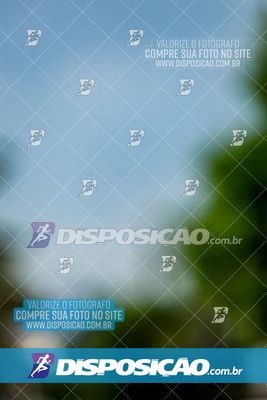 Foto 8016545