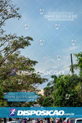 Foto 8016313