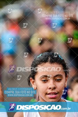 Foto 8015027