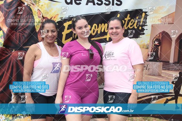 Foto 8012173