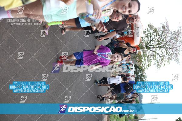 Foto 8028501