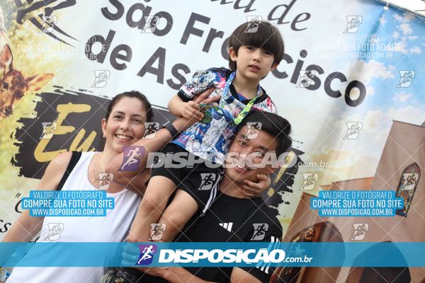 Foto 8028836