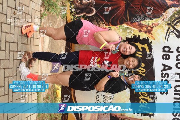 Foto 8028917