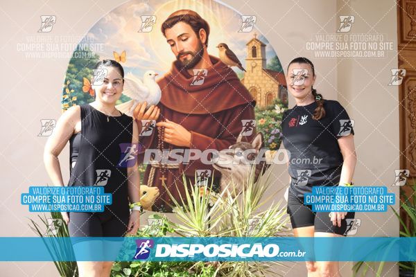 Foto 8010483