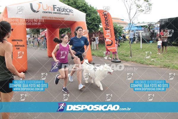 Foto 8017050