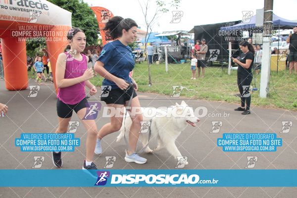 Foto 8017097