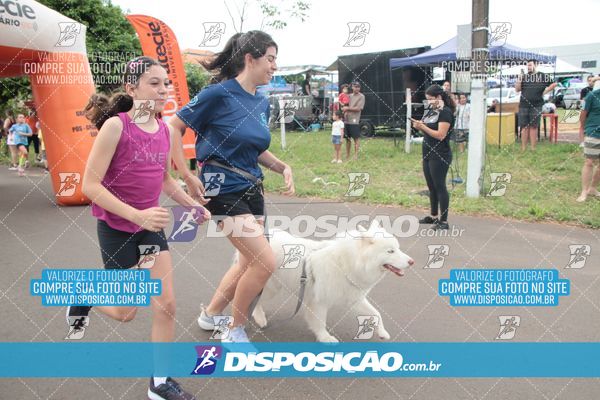 Foto 8017124