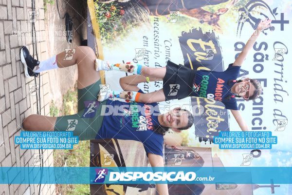 Foto 8011014