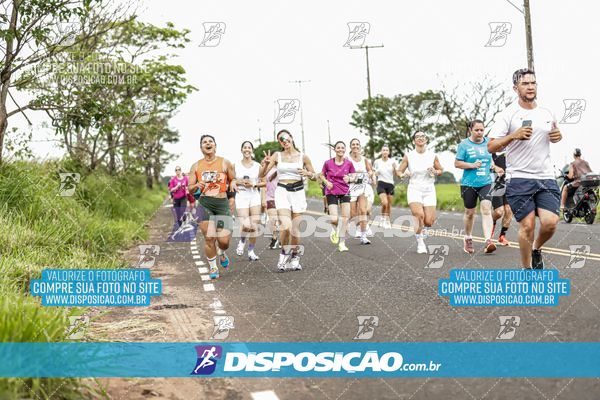 Foto 7965194
