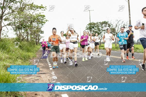Foto 7965019
