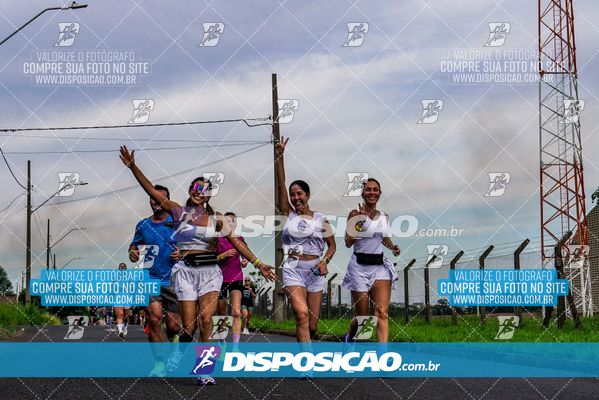 Foto 8043761