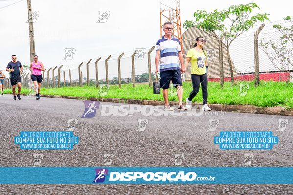 Foto 8042948