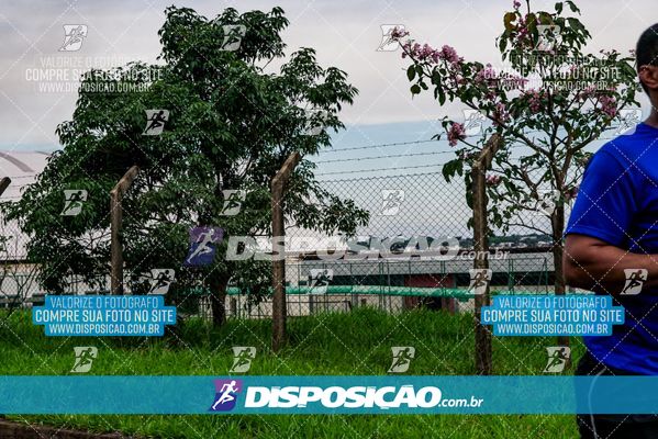 Foto 8043524