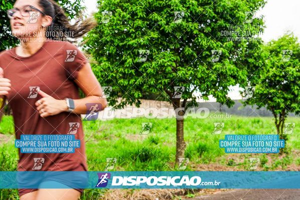 Foto 8044111
