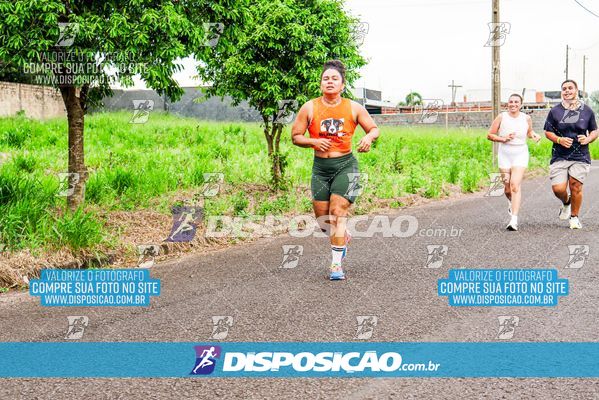 Foto 8042419
