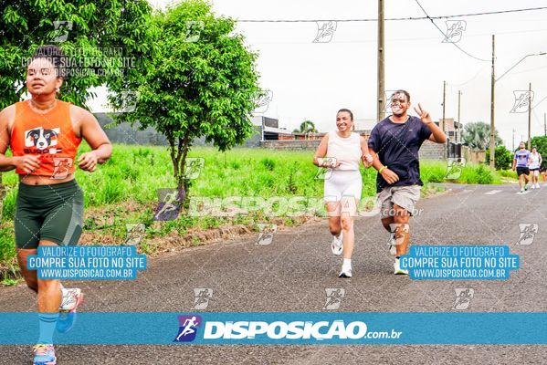 Foto 8044178