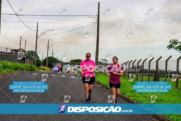 Foto 8044191