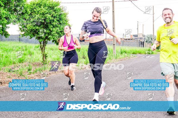 Foto 8043254