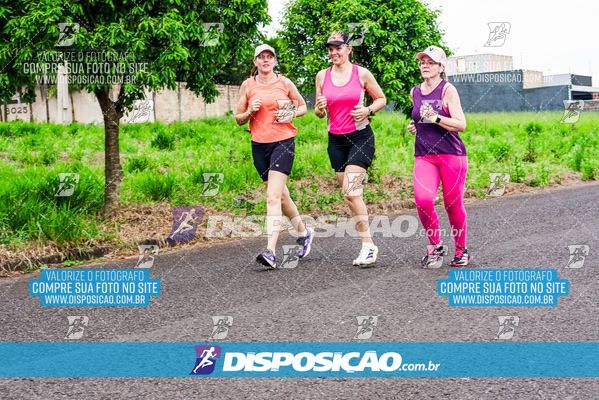 Foto 8043429